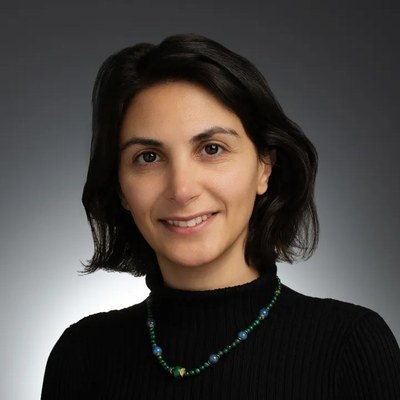 Armita Nourmohammad